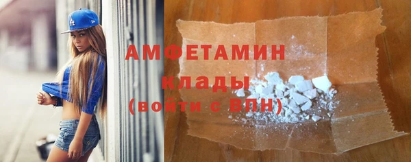 индика Гусев