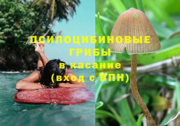 мяу мяу мука Сосновый Бор