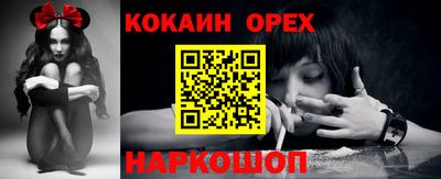 дмт Кингисепп