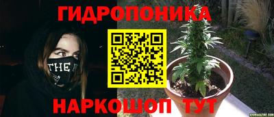 эйфоретик Гатчина